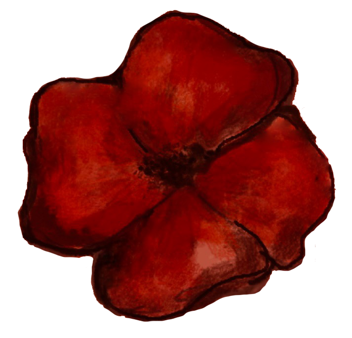 Poppy Drawing Honoring 'S'